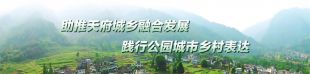 巢չ